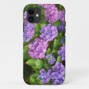 Buscar hydrangeas fotografía Para ella