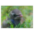 Buscar animales salvajes tablas cortar Para ella