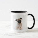 Buscar sentada del bebé tazas Adorable