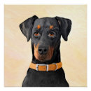 Buscar pinscher posters Doberman