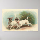 Buscar fox terrier Terrieres