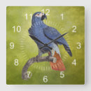 Buscar loros relojes de pared Vida silvestre
