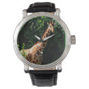 Buscar africa relojes Safari