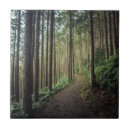 Buscar japonés azulejos Paisaje