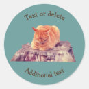 Buscar tabby pegatinas Adorable