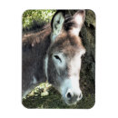 Buscar burros imanes Adorable