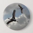 Buscar grúa del sandhill accesorios Grúas