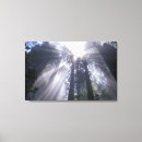 Buscar gigantes lienzos Parque