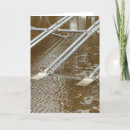 Buscar inundaciones tarjetas Agua