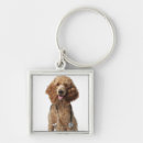 Buscar perro caniche llaveros Vertical