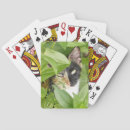Buscar calicó barajas de cartas 9 º gata