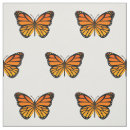Buscar mariposa linda telas Para ella