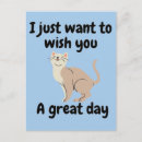 Buscar paz y armonía postales Bondad