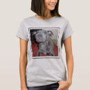 Buscar bull terrier camisetas Cachorro