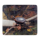 Buscar tortuga tablas cortar Reptiles