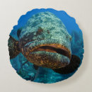 Buscar cuba decoracion Jardines de la reina