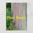 Buscar maui hawaii postales Isla tropical