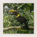 Buscar pájaros tropicales puzzles Selva tropical
