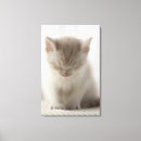 Buscar llave al posters Vertical