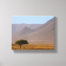 Buscar paisaje del desierto lienzos Montaña