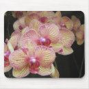 Buscar orquídea amarilla alfombrillas de raton Orquídeas
