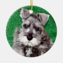 Buscar schnauzer miniatura adornos Cachorro