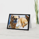 Buscar descanso tarjetas Animales