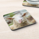 Buscar oveja posavasos Para todos