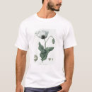 Buscar somniferum otros Papaver