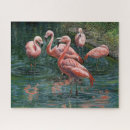 Buscar pintura del flamenco puzzles Rosa