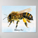 Buscar abejas posters Para ella