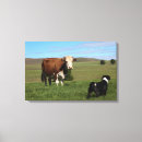 Buscar vacas lienzos Exterior