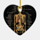 Buscar anatomía adornos Ornamento