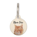 Buscar del jengibre gato accesorios Ginger cat