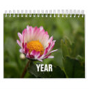 Buscar eventos calendarios Colores