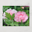 Buscar intercambios postales Flor