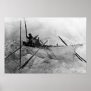 Buscar esquimal posters Estados