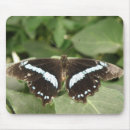 Buscar mariposa blanca alfombrillas de raton Animales