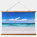 Buscar tci Playa