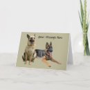 Buscar compinches tarjetas Perro
