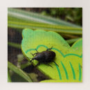 Buscar malvado fotografía Naturaleza