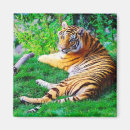 Buscar realism imanes Naturaleza