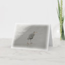 Buscar bird tarjetas Foto