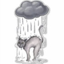 Buscar gatito triste postales Negro