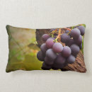 Buscar vides de uva Vino