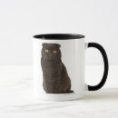 Buscar doblez tazas Gatos
