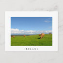 Buscar vacas postales Granja
