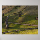 Buscar isla de pascua posters Polinesia