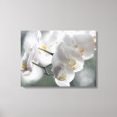 Buscar artistic lienzos Blanco