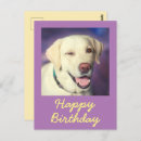 Buscar feliz cumpleaños del perro postales Para ella